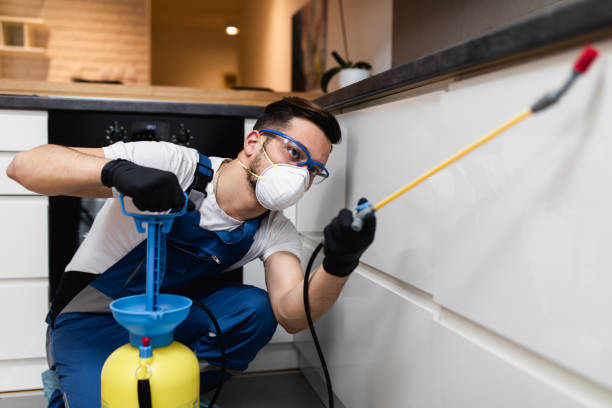 Pest Control Cost in Runaway Bay, TX