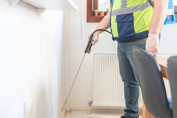 Best Pest Inspection Near Me  in Runaway Bay, TX