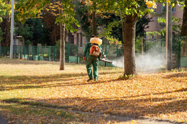 Best Bed Bug Extermination  in Runaway Bay, TX