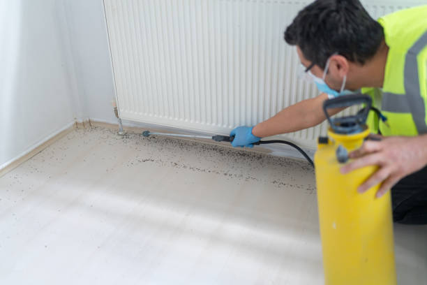 Best Pest Control for Businesses  in Runaway Bay, TX